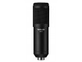 TASCAM TM-70 Dynamic Microphone for Broadcast Streaming